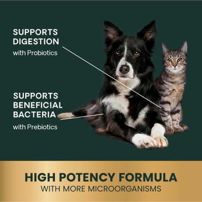 Veterinary Strength Gut Health Entero Flora Pro Powder Digestive Supplement for Dogs & Cats, 60-g jar