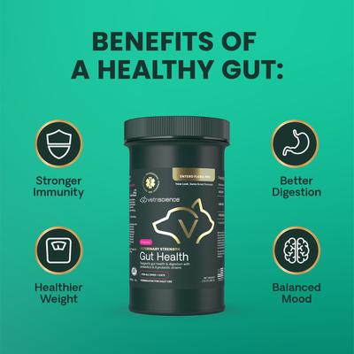 Veterinary Strength Gut Health Entero Flora Pro Powder Digestive Supplement for Dogs & Cats, 60-g jar