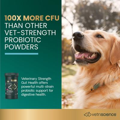 Veterinary Strength Gut Health Entero Flora Pro Powder Digestive Supplement for Dogs & Cats, 60-g jar