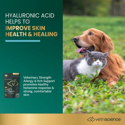 Veterinary Strength Allergy & Itch Support Derma Strength Pro Duck Flavored Soft Chew Allergy Supplement for Cats & Dogs, 90 count