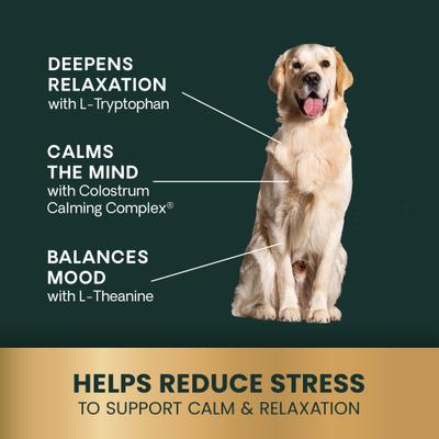 Veterinary Strength Calm & Confident Composure Pro Chicken Flavored Soft Chew Calming Supplement for Dogs, 60 count