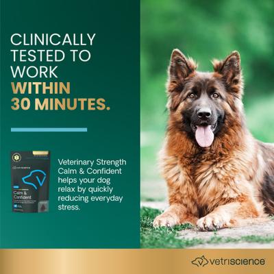 Veterinary Strength Calm & Confident Composure Pro Chicken Flavored Soft Chew Calming Supplement for Dogs, 60 count