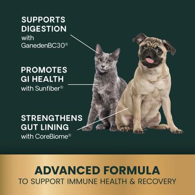 Veterinary Strength Healthy Gut & Digestion Duck Flavored Soft Chew Digestive Supplement for Dogs & Cats, 60 count