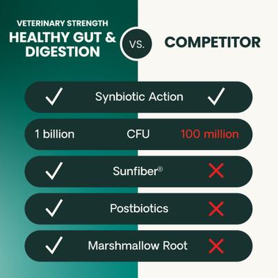 Veterinary Strength Healthy Gut & Digestion Duck Flavored Soft Chew Digestive Supplement for Dogs & Cats, 60 count