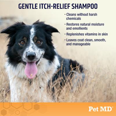 Oatmeal & Aloe Itch Relief Dog & Cat Shampoo, 16-fl oz bottle