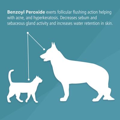Benzoyl Peroxide Dog & Cat Shampoo, 12-fl oz bottle