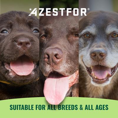 Homemade Dog Food Veggie Flavored Powder Multivitamins for Dogs, 1-lb bag