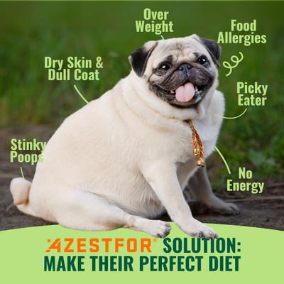 Homemade Dog Food Veggie Flavored Powder Multivitamins for Dogs, 1-lb bag