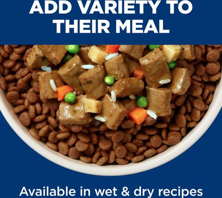 Adult Salmon & Barley Entree Minced Canned Wet Dog Food, 13-oz can, 12 count
