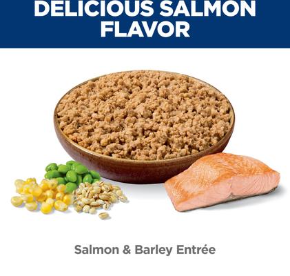 Adult Salmon & Barley Entree Minced Canned Wet Dog Food, 13-oz can, 12 count