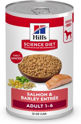 Adult Salmon & Barley Entree Minced Canned Wet Dog Food, 13-oz can, 12 count