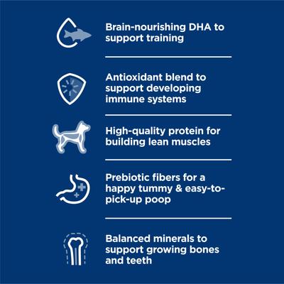 Puppy Chicken & Barley Entree Canned Wet Dog Food, 13-oz can, case of 12