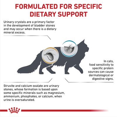 Multifunction Urinary SO + Hydrolyzed Protein Dry Cat Food, 17.6-lb bag