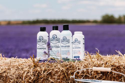 Skin Lotion Dog Skin Irritation Treatment Lotion, 16-fl oz bottle