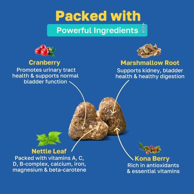 Bladder Health Soft Chews Supplement for Dogs, 100 count