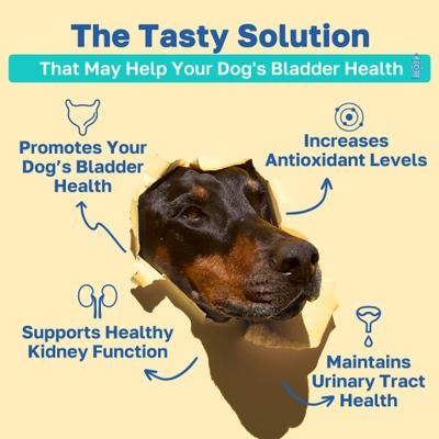 Bladder Health Soft Chews Supplement for Dogs, 100 count