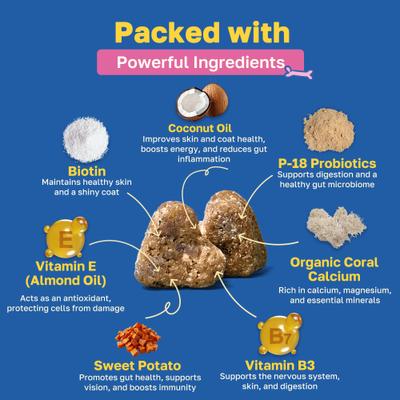 Skin & Coat Soft Chews Supplement for Dogs, 100 count