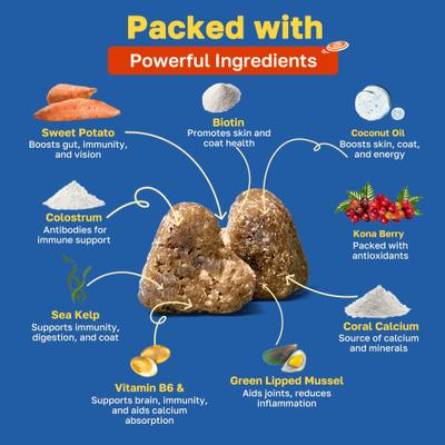 10 in 1 Multivitamin Soft Chews Supplement for Dogs, 100 count