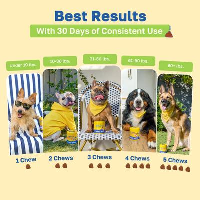 Digestive Health Soft Chews Supplement for Dogs, 100 count