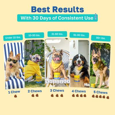 Bladder Health Soft Chews Supplement for Dogs, 100 count