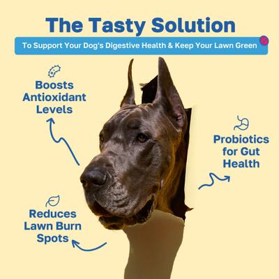 Suplemento masticable suave Lawn Saver para perros, 100 unidades