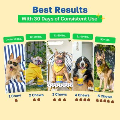 Probiotic Soft Chews Supplement for Dogs, 100 count