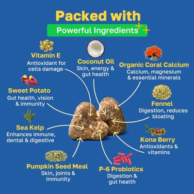 Probiotic Soft Chews Supplement for Dogs, 100 count