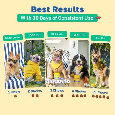 Stop Scoot Anal Gland Support Soft Chews Supplement for Dogs, 100 count