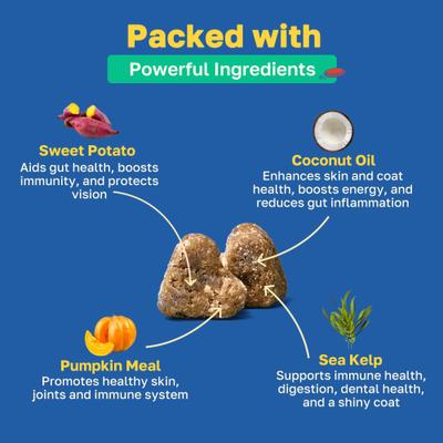 Stop Scoot Anal Gland Support Soft Chews Supplement for Dogs, 100 count