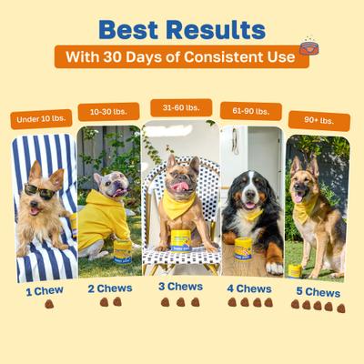 No Poo Soft Chews Supplement for Dogs, 100 count