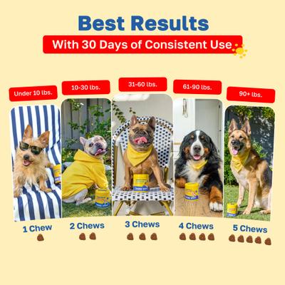 Allergy Soft Chews Supplement for Dogs, 100 count