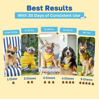 Dental Health Soft Chews Supplement for Dogs, 100 count