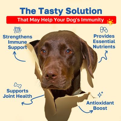 Allergy Soft Chews Supplement for Dogs, 100 count