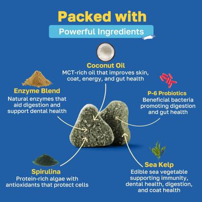 Dental Health Soft Chews Supplement for Dogs, 100 count