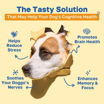 Cognitive Soft Chews Supplement for Dogs, 100 count