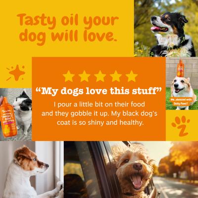 Wild Alaskan Omega-3 Salmon Oil Liquid Skin & Coat Supplement for Dogs & Cats, 16-fl oz bottle, bundle of 3