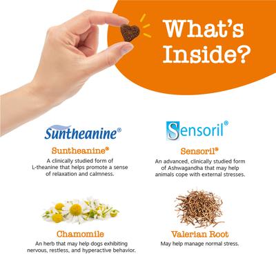 Bundle: Zesty Paws Wild Alaskan Salmon Oil Formula Liquid Skin & Coat Supplement, 32-oz bottle + Hemp Calming Bites Peanut Butter Flavored Soft Chews Composure & Relaxation Supplement for Dogs, 90 count