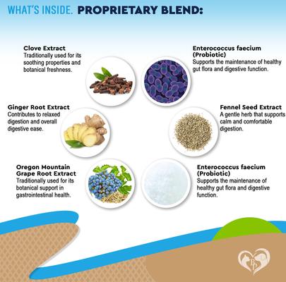 Natural Intestinal Defense with Probiotic for Internal Health & Antioxidant in Cats & Dogs, 2-fl oz bottle