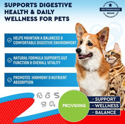 Natural Intestinal Defense for Internal Health & Antioxidant in Cats & Dogs, 2-fl oz bottle