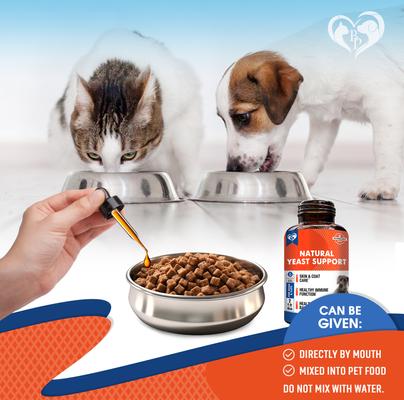 Natural Yeast Support for Skin & Coat, Healthy Inflammatory Balance in Dogs & Cats, 2-fl oz Bottle