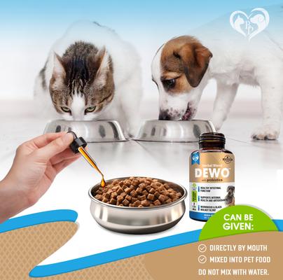 Natural Intestinal Defense with Probiotic for Internal Health & Antioxidant in Cats & Dogs, 2-fl oz bottle