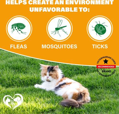 Flea & Tick Support Chewable Treats with Chicken Flavor for Cats, 10-oz pack