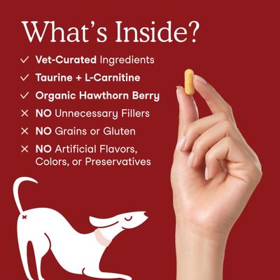 Suplemento de apoyo cardíaco con sabor a salmón para perros y gatos, 120 cápsulas