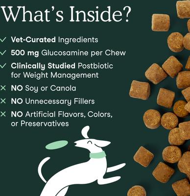 Hip & Joint Soft Chew Supplement for Dog, 30 count