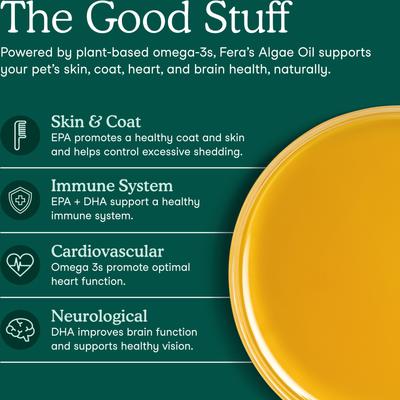 Algae Oil Vegan Omega-3s Supplement for Dogs & Cats, 8-fl oz bottle