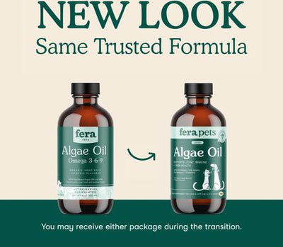 Algae Oil Vegan Omega-3s Supplement for Dogs & Cats, 8-fl oz bottle