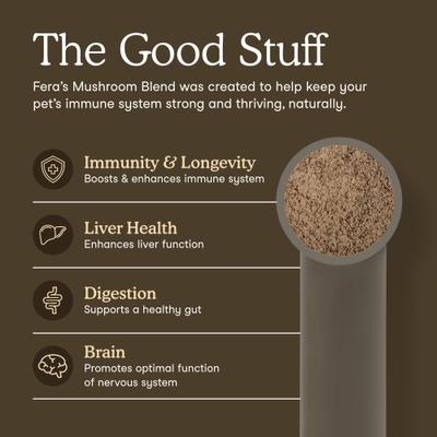 Fera Pets, Mushroom Blend for Immune Support USDA Organic for Dogs and Cats. 120 scoops