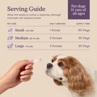 Fera Pets, Calming Support for Dogs and Cats. 60 scoops