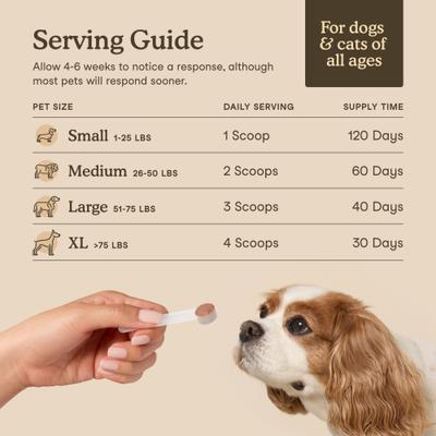 Fera Pets, Mushroom Blend for Immune Support USDA Organic for Dogs and Cats. 120 scoops