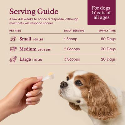 Bladder Support Chicken Flavor Supplement for Dog & Cat, 2.16-oz jar